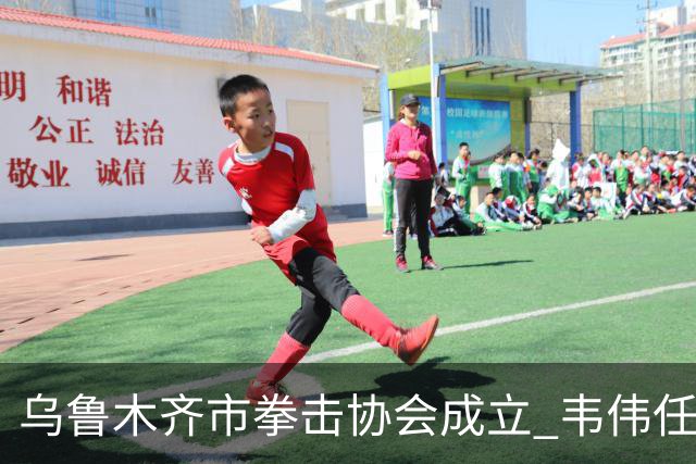 乌鲁木齐市拳击协会成立 韦伟任会长